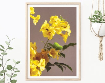 Wildlife & Flower Photography, Yellow Flowers and Bee 6, Nature Photography, Modern Decor, Wall Art Print, Wall Decor