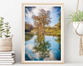 Landscape Photography, River Tree Reflections 2, Texas Hill Country Nature Photography, Modern Decor, Tree Wall Art Print, Wall Decor