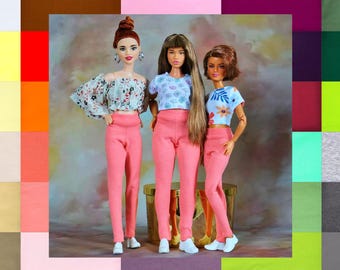 BARBIE SIGNATURE AA Looks corps articulé NRFB EUR 98,00