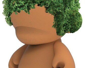 custom chia pet