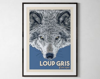 Grey wolf, animal illustration, naturalistic poster, child poster, A4, A5 or postcard