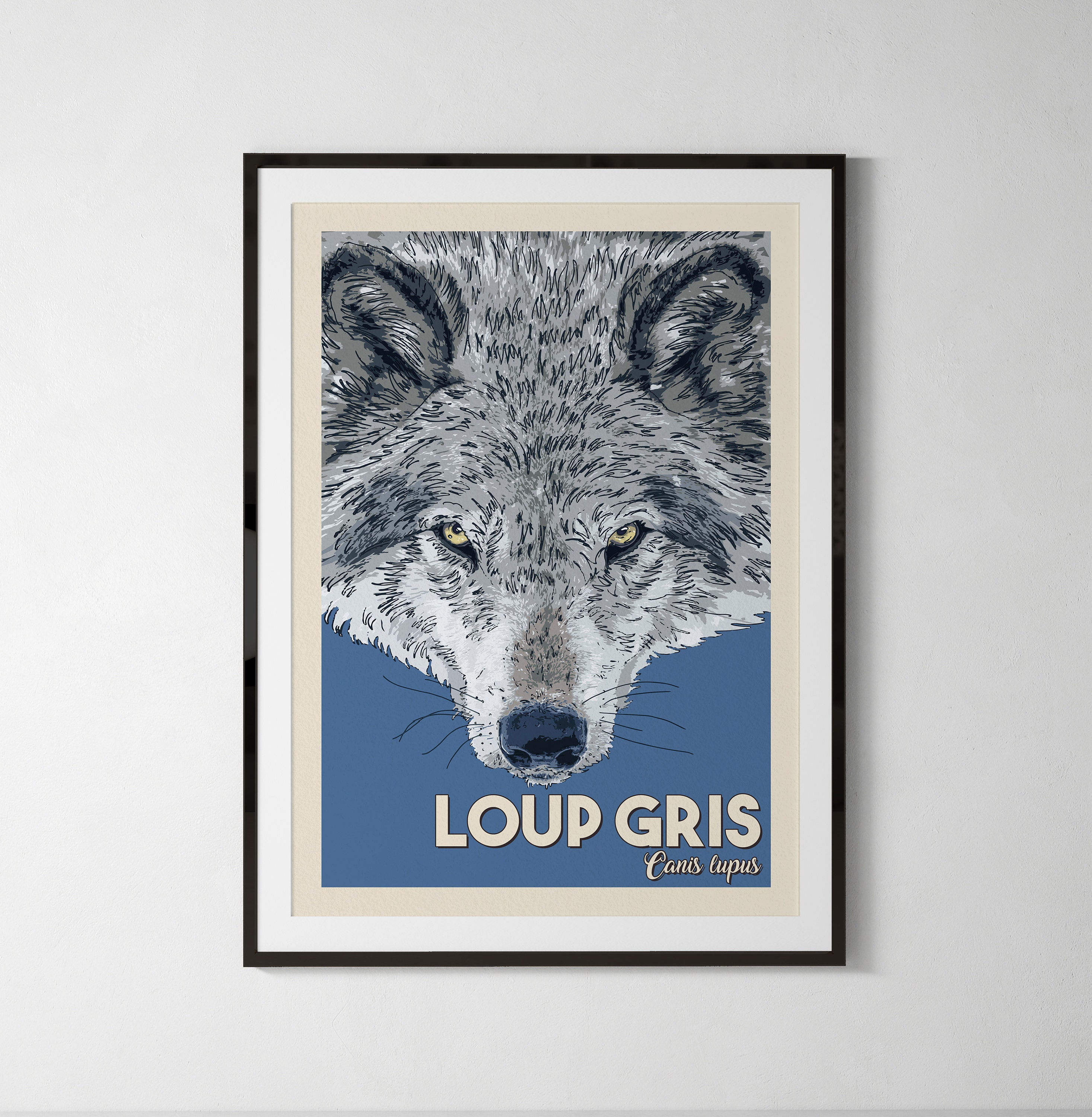 Loup Gris, Illustration Animaux, Affiche Naturaliste, Enfant, A4, A5 ou Carte Postale