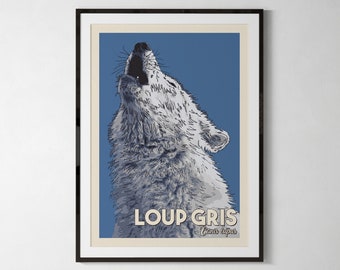Grey wolf, illustration, naturalistic poster, child poster, A4, A5 or postcard