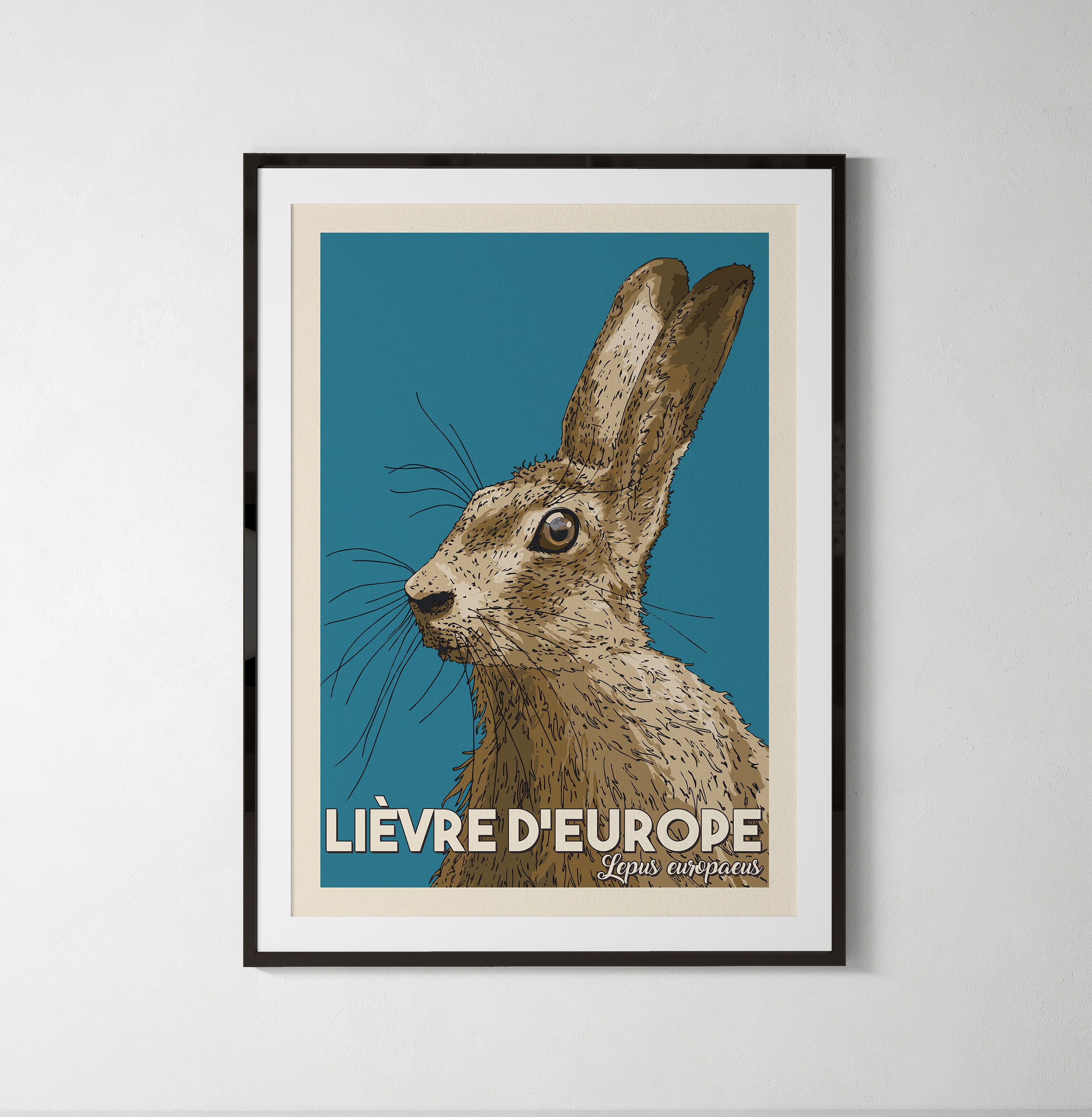 Lièvre, Illustration Animaux, Affiche Naturaliste, Enfant, A4, A5 ou Carte Postale