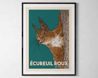 Red squirrel, animal illustration, naturalistic poster, child poster, A4, A5 or postcard