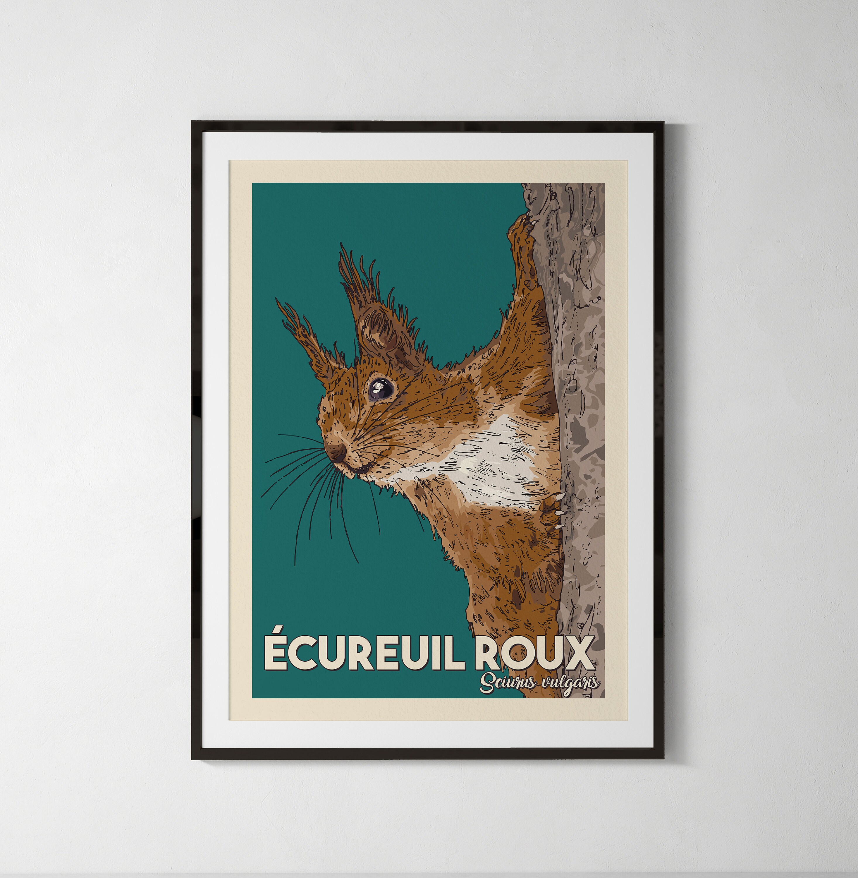 Ecureuil Roux, Illustration Animaux, Affiche Naturaliste, Enfant, A4, A5 ou Carte Postale