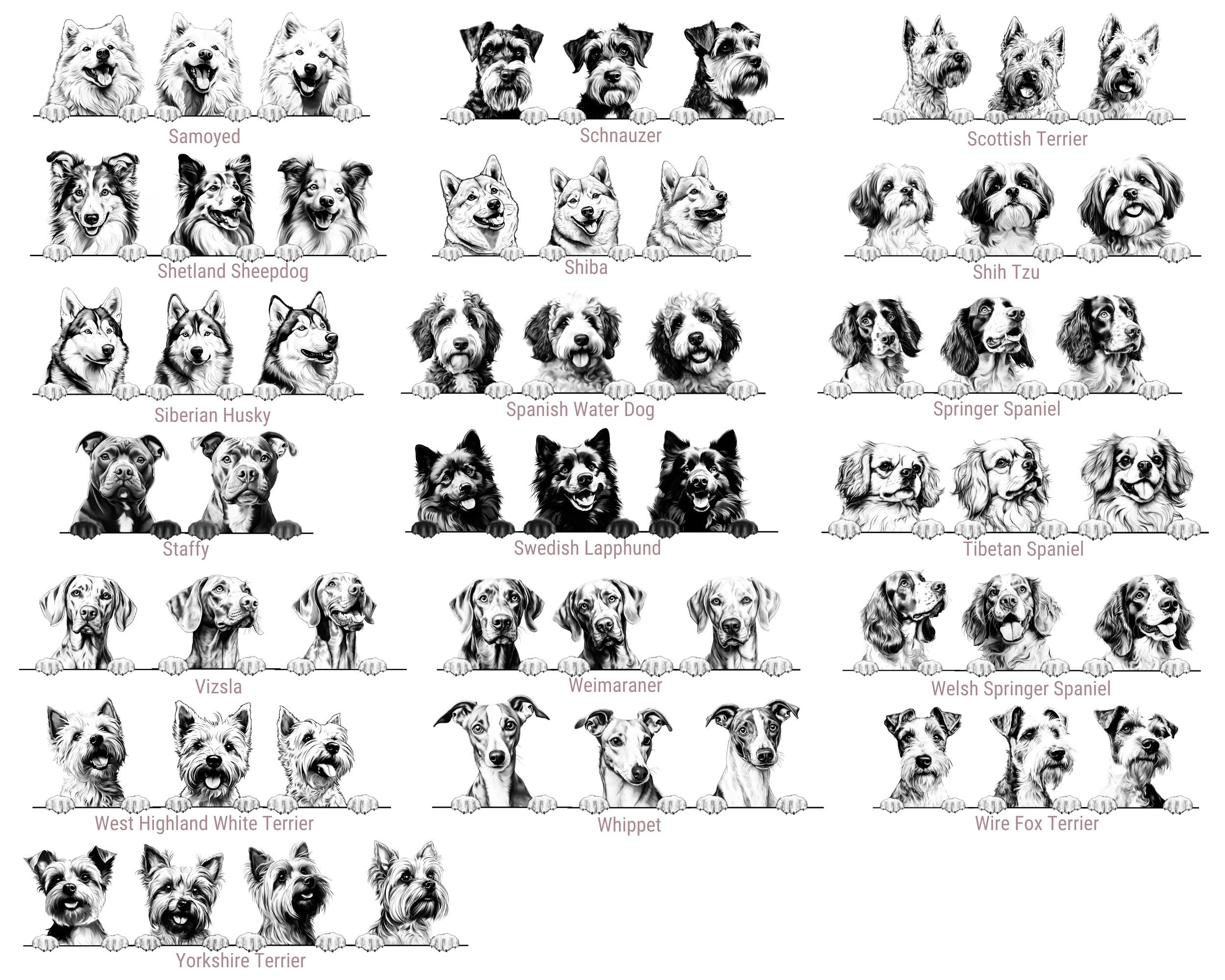 Personalised Pet Photo Baubles | Gift For Dog Lovers | Christmas Decoration Ideas For Secret Santa | Stocking Presents | Hanging Decor - Thumbnail 2