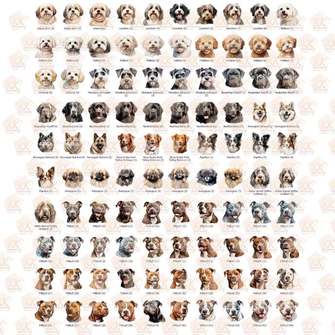 Personalised Name Dog Treat Jar | Puppy Treats With Breed Of Dog | Ceramic Pot Bamboo Lid Rubber Seal For Biscuits To Keep Fresh - Thumbnail 6