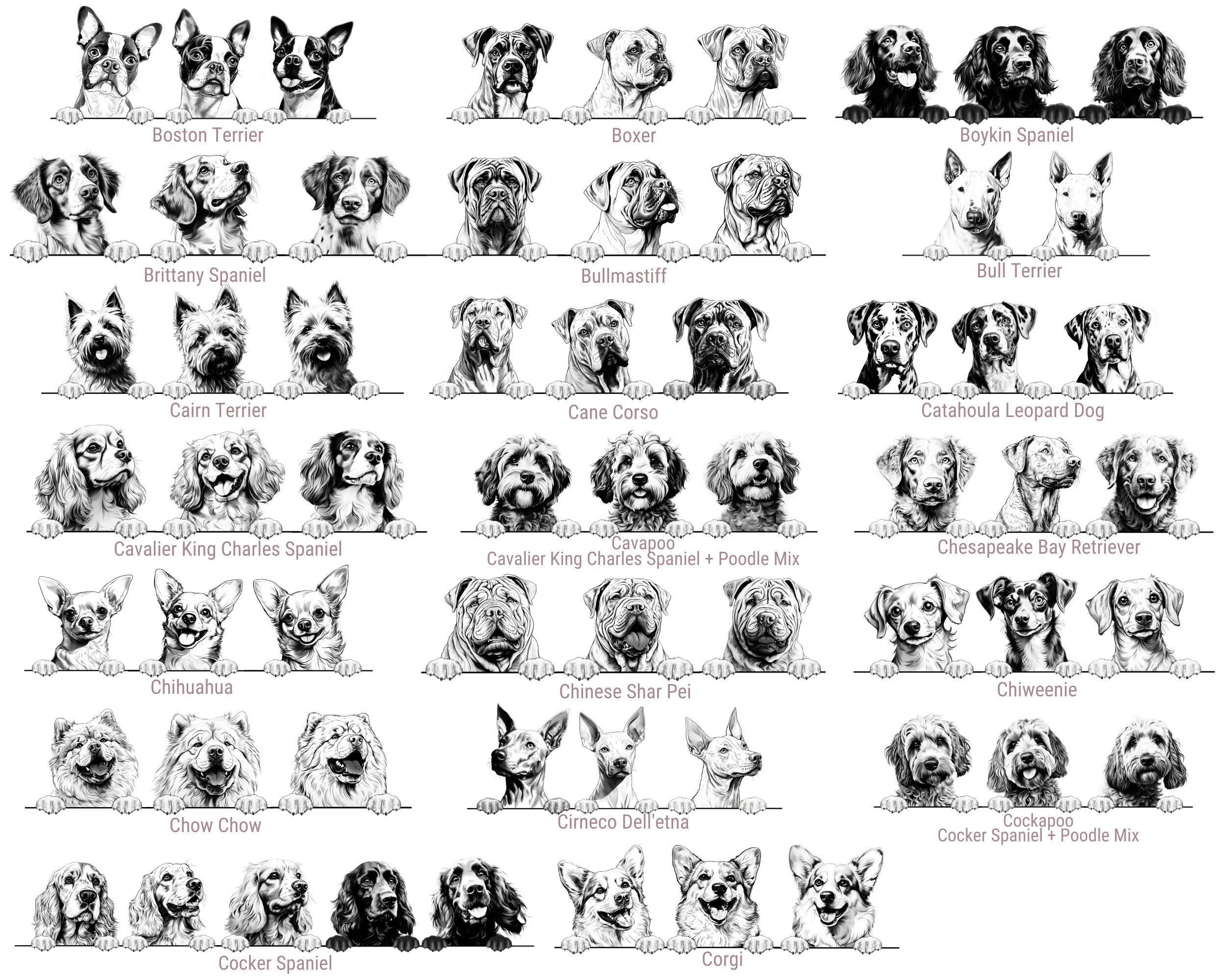 Personalised Pet Photo Baubles | Gift For Dog Lovers | Christmas Decoration Ideas For Secret Santa | Stocking Presents | Hanging Decor - Thumbnail 7