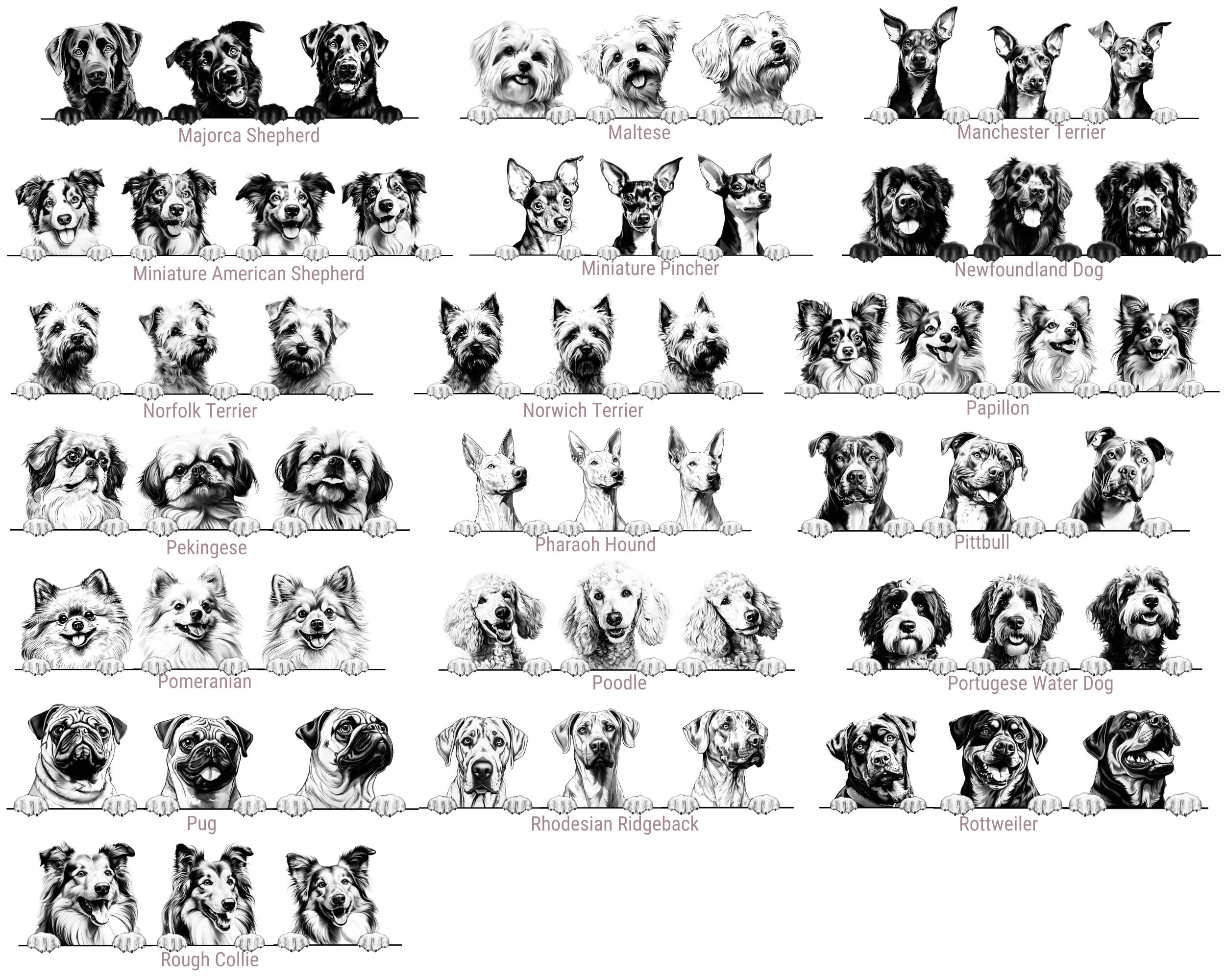 Personalised Pet Photo Baubles | Gift For Dog Lovers | Christmas Decoration Ideas For Secret Santa | Stocking Presents | Hanging Decor - Thumbnail 4