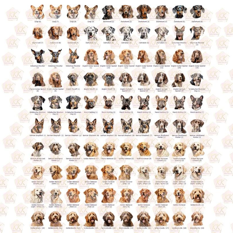 Personalised Name Dog Treat Jar | Puppy Treats With Breed Of Dog | Ceramic Pot Bamboo Lid Rubber Seal For Biscuits To Keep Fresh - Thumbnail 4