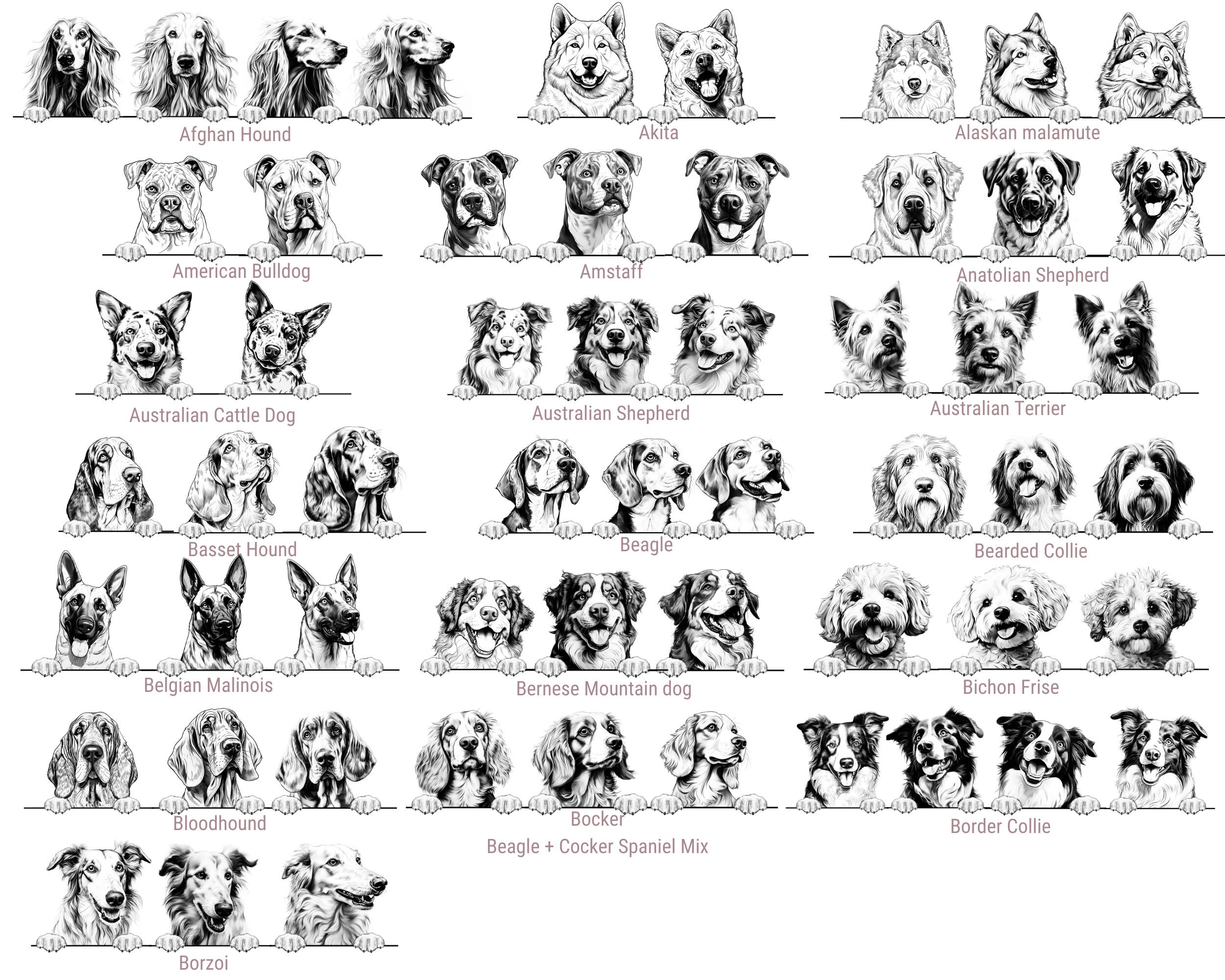 Personalised Pet Photo Baubles | Gift For Dog Lovers | Christmas Decoration Ideas For Secret Santa | Stocking Presents | Hanging Decor - Thumbnail 6