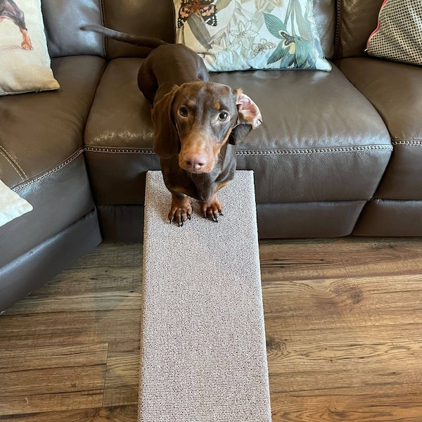 Small Dog Ramp: Folding Carpeted Pet Ramp for Dachshunds, other small dogs, cats and rabbits