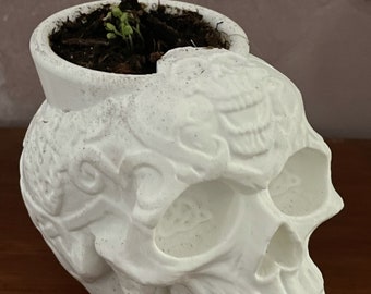 Vaso teschio celtico