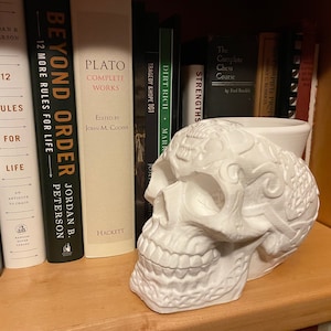 May include: White ceramic skull planter with intricate designs, sitting on a bookshelf with a variety of books.