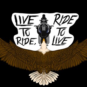 02 Custom Biker Eagle Decal-High Quality 7 yr Vinyl; Laminated