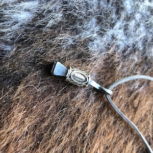 horseshoe nail amulet