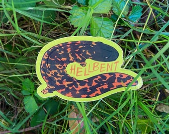 OURAGAN HELENE AID - salamandre de l'enfer - sticker