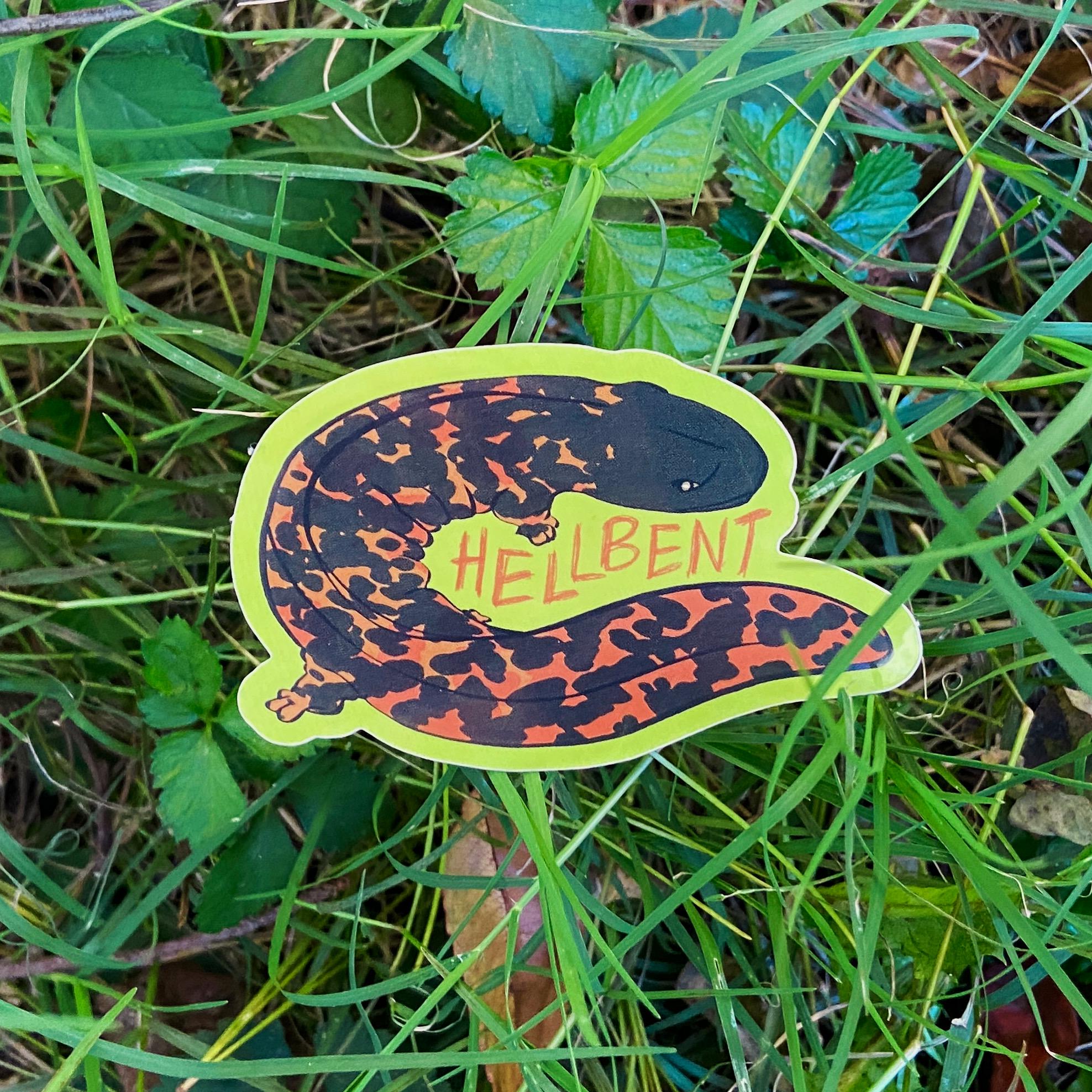 HURRICANE HELENE AID - Hellbender Salamander - Sticker - Etsy