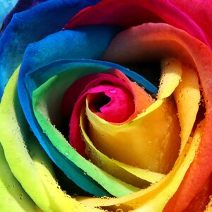 Diamond Art, Painting With Diamonds Kit for Kids and Adults, Multiple Sizes, Great DIY Hobby or Gift, Sparkly Selections Rainbow Rose