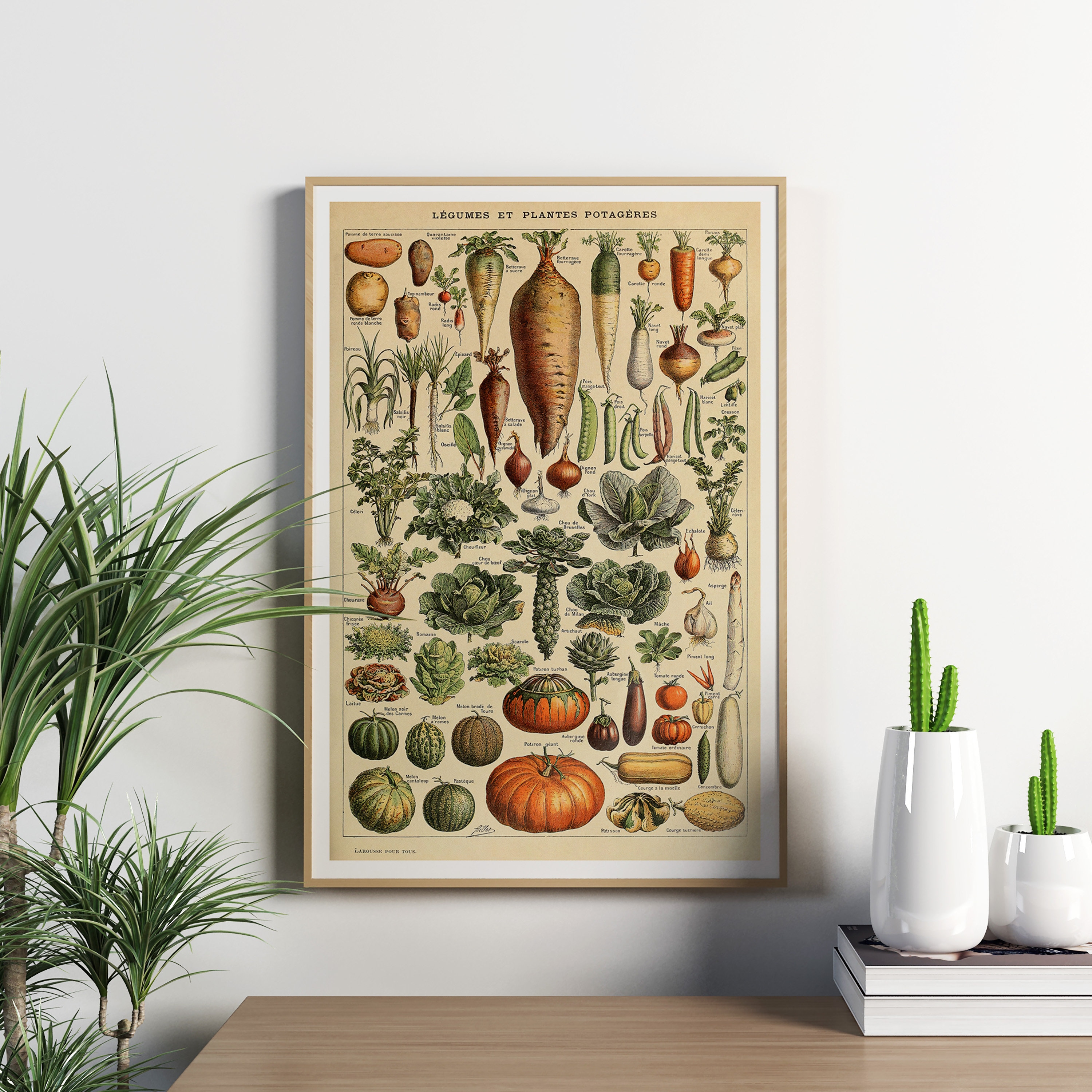 Vintage Vegetable Prints