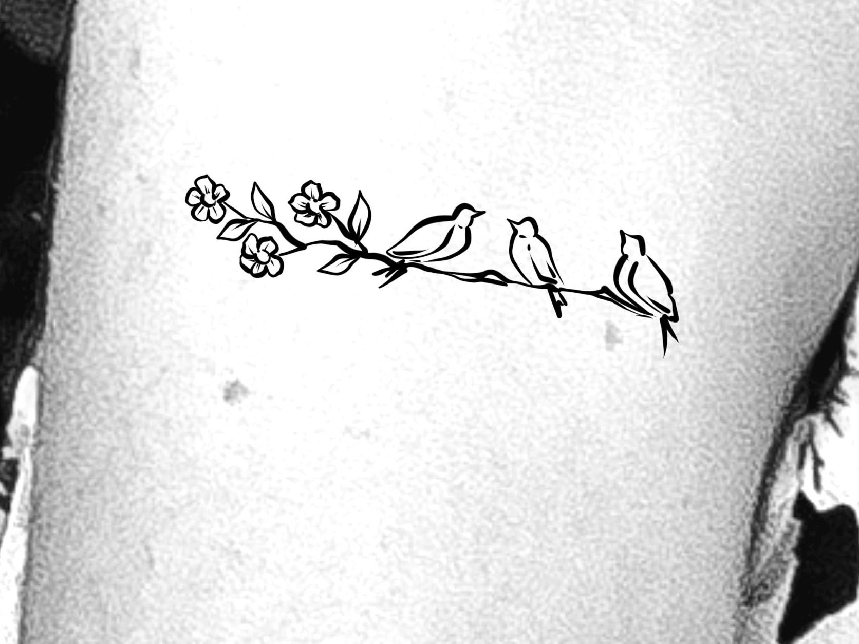 Tree Tattoo Design Ideas and Pictures Page 3  Tattdiz