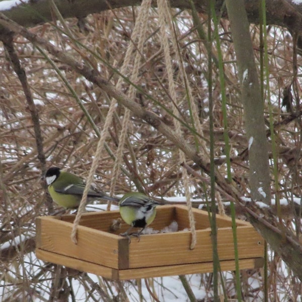 Mangeoire à oiseaux en bois suspendue, mangeoire à oiseaux en bois faite main pour l'extérieur Mangeoires à oiseaux plates-formes fabriquées à la main Mangeoire à graines pour oiseaux sauvages