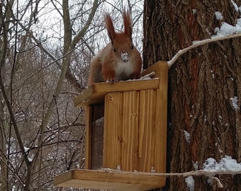 Squirrel feeder Squirrel nut bar Squirrel house, Squirrel feeders Handmade squirrel bird feeder Wildlife feeder Chipmunk feeder Eichhörnchen