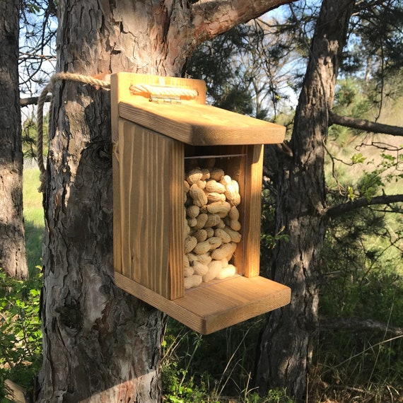 Boîte pour mangeoires pour écureuils, porte-graines en bois pour écureuils  Mangeoires pour écureuils faites à la main Mangeoire pour écureuils pour l' extérieur -  France