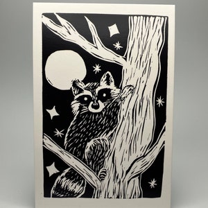 4x6 print - Night raccoon