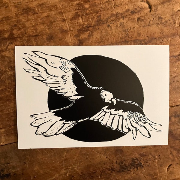 Turkey vulture! - 4x6" matte print
