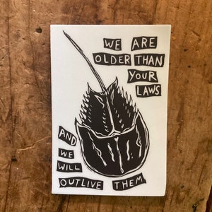 Horseshoe crab, we are older than your laws -  3" vinyl sticker