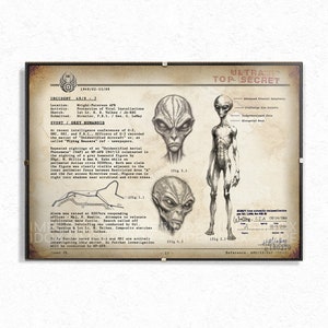 Wright Patterson Grey Alien Artwork Handmade