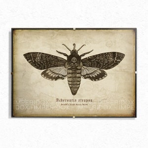 Death&#39;s Head Moth Print, Acherontia Atropos Illustration, Gothic Wall Art, Lepidoptery Home Decor, Unique Nature-Inspired Gift
