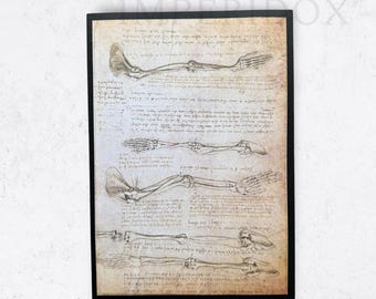 Leonardo da Vinci Manuscript Print - Vintage Renaissance Art - Aged Notebook Page Reproduction - Imperidox Artwork