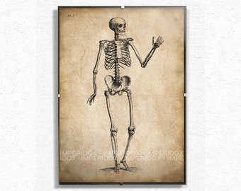 Stampa di anatomia dello scheletro, stampa di scheletro, stampa di scheletro invecchiato a mano, decorazione per la casa gotica, regali per lui, stampa di scheletro invecchiato a mano originale