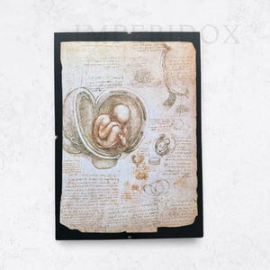 Leonardo da Vinci Art Print - Vintage Renaissance Poster - Aged Masterpiece Reproduction - Imperidox Original Artwork
