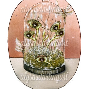 Trapped” fine art print