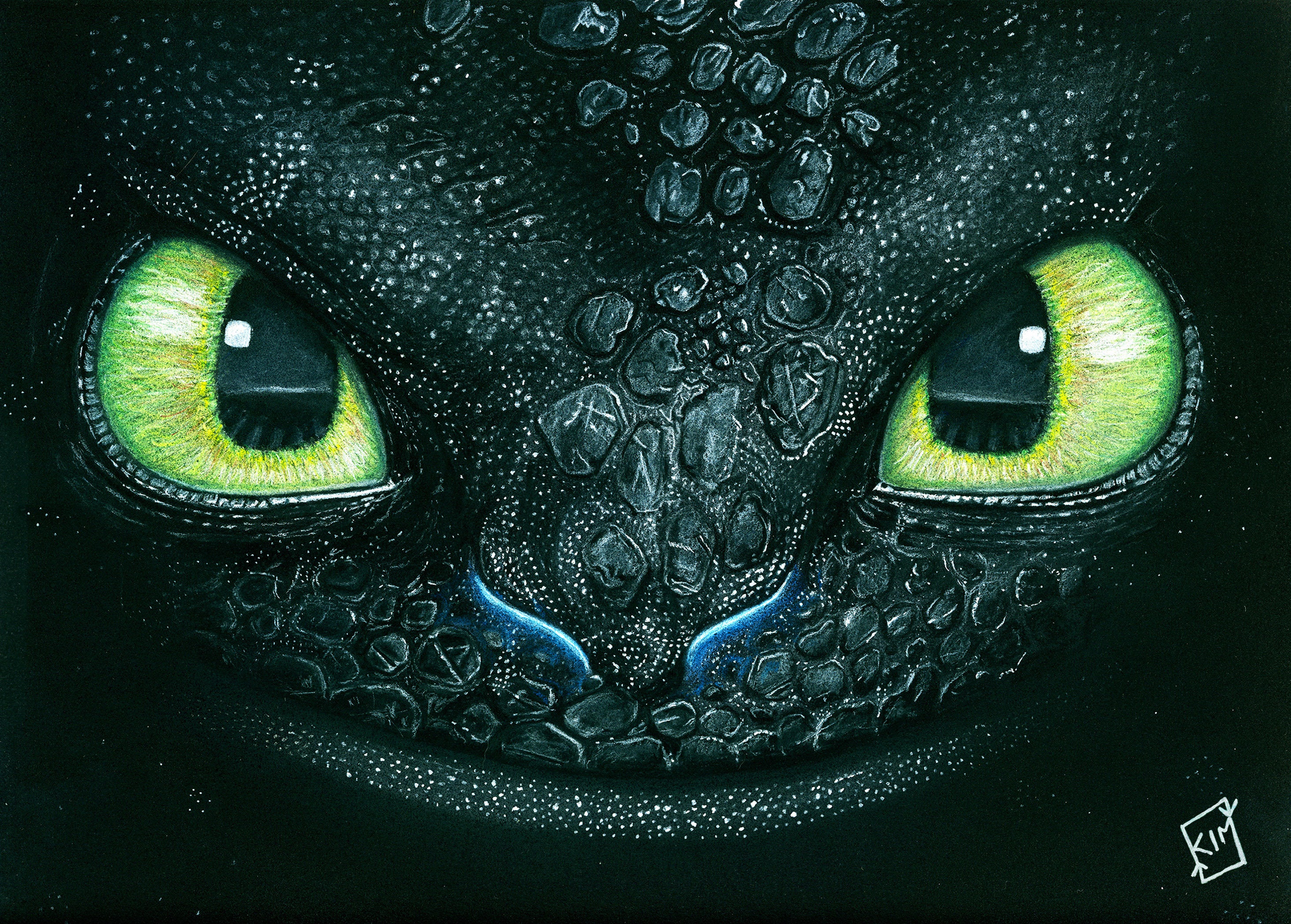 How to Train Your Dragon Toothless Chalk Pastel Portrait Print