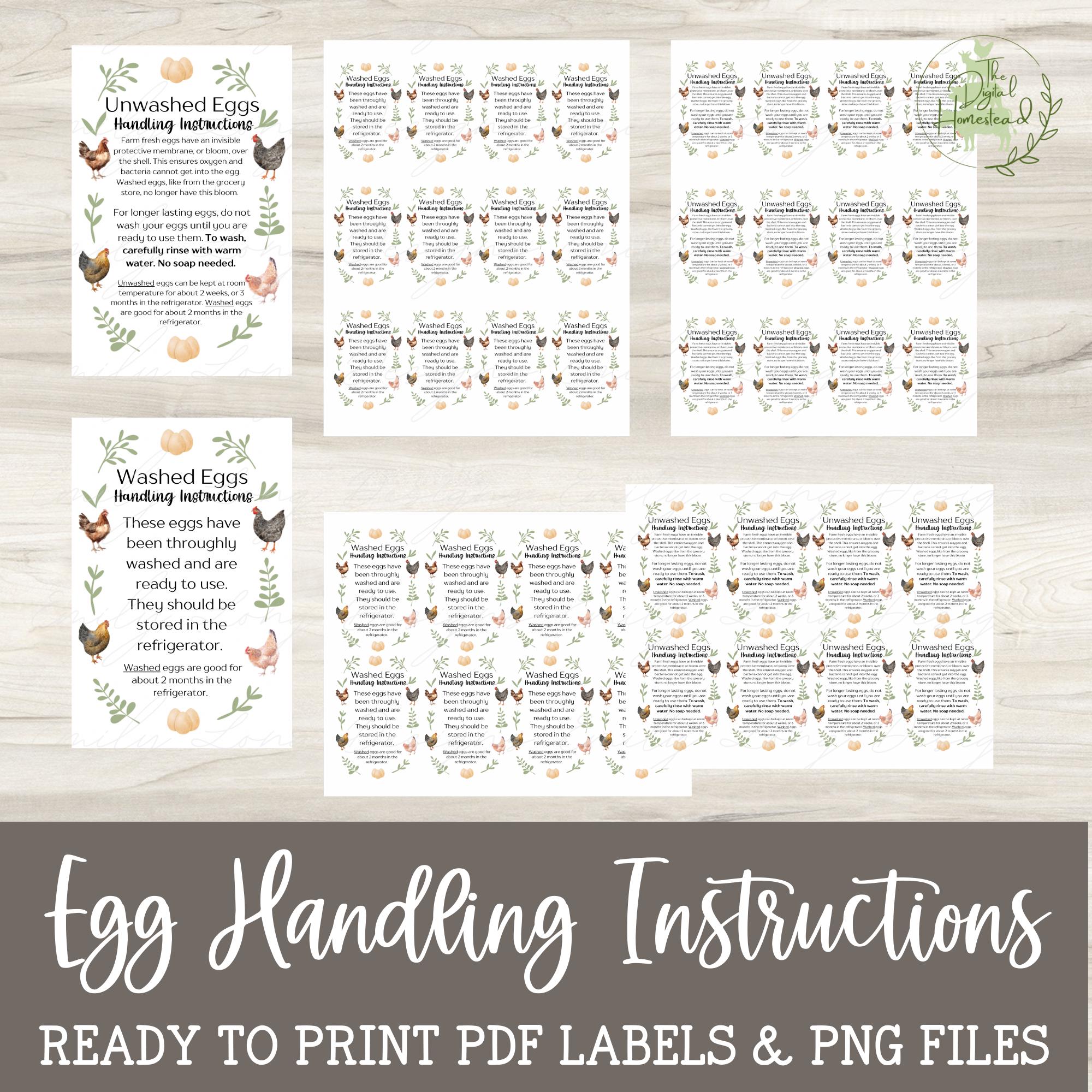 Egg Handling Instructions Printables | Printable Egg Carton Labels | Egg Business Labels | Unwashed Egg Care Label | Egg Custom Education - Etsy for Egg Handling Instructions Printable Free