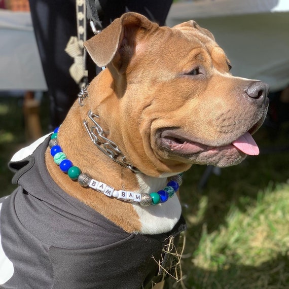 Large bead sales dog collar