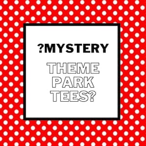 Magliette Mystery Thrifted Themepark / Oversize / Personaggio / Pacchetto / Sacchetto sorpresa / Casuale / Varietà / Themepark / Viaggio / Grafica / Abbigliamento