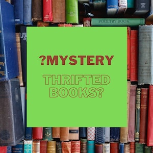 Mystery Book | Thrift Novel | Reading | Blind Date with a Book | Thrifted | Variety | Random | Literature