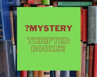 Mystery Book | Thrift Novel | Reading | Blind Date with a Book | Thrifted | Variety | Random | Literature