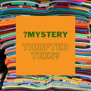 T-shirts Mystery Thrifted | Surdimensionné | Années 90 An 2000 | Pack | Sac à main | Aléatoire | Variété | Rétrospective | Voyage | Graphique | Vêtements