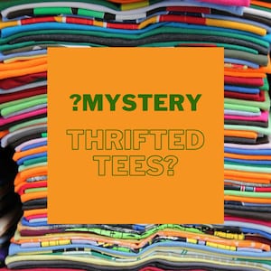 Mystery Thrifted T-Shirts | Oversized | 90s Y2K | Bundle | Grab Bag | Random | Variety | Throwback | Travel | Graphic | Clothing