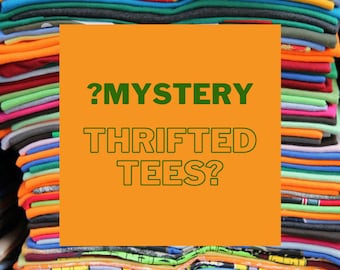 Mystery Thrifted T-Shirts | Oversized | 90s Y2K | Bundle | Grab Bag | Random | Variety | Throwback | Travel | Graphic | Clothing