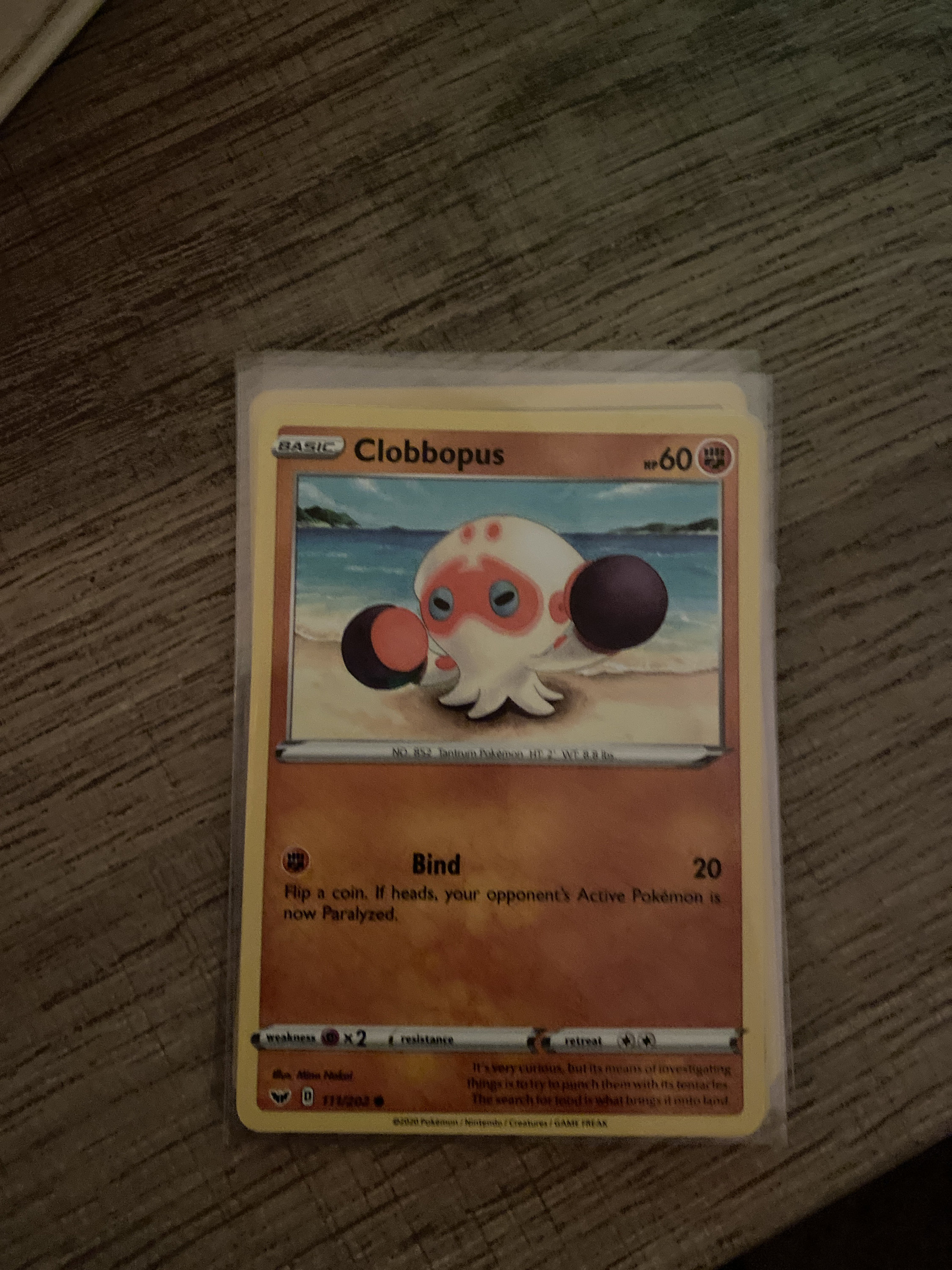 Pokémon Karten Set - 50 Karten + Holokarte & Toploader - Ideal Für Einsteiger