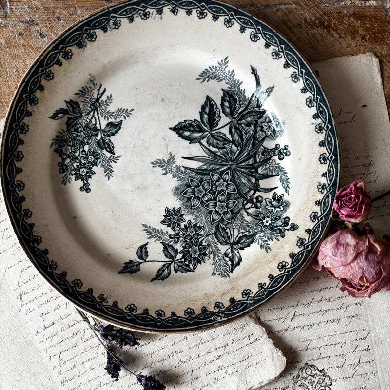 French Transferware - Etsy