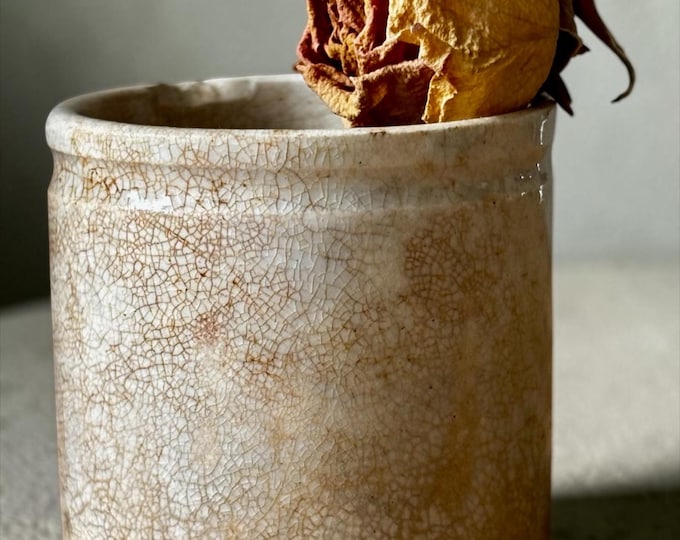 19th Century Ironstone French and Belgium Confiture Pots